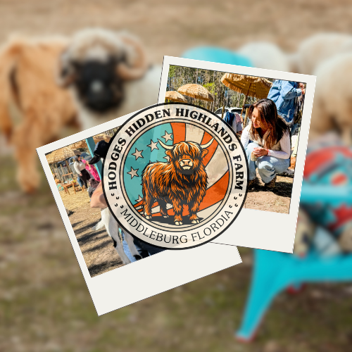 POLAROID PHOTO BOOTH