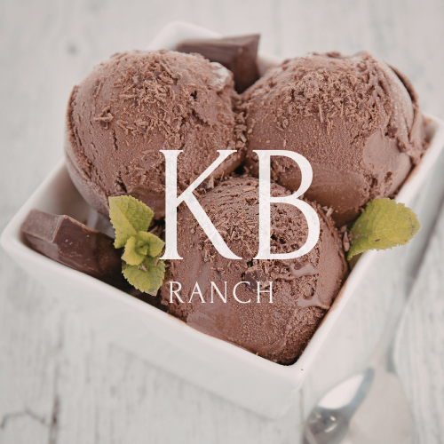 ICE CREAM BOWL
