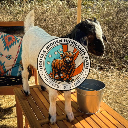 GAMES WITH GOATS