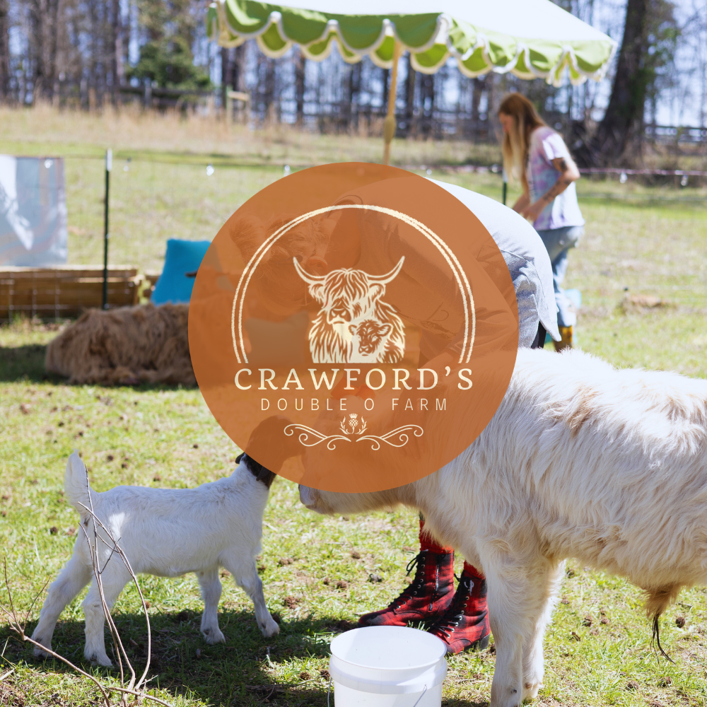 GAMES WITH GOATS